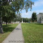 DSCN3290