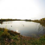IMGP1188