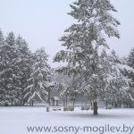 WP_20171121_09_59_27_Pro
