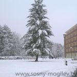 WP_20171121_09_59_42_Pro
